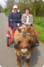 Blakewell Horse Drawn Wedding Carriage Hire 1067336 Image 5